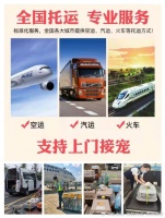 安阳宠物小狗托运靠谱猫咪狗狗搬家运输 免费上门接宠