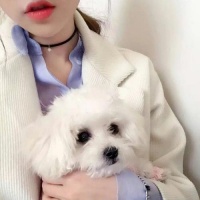 qq女生头像抱宠物狗