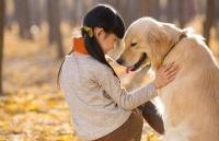 快递宠物上海国际托运