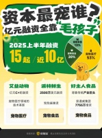 解码宠物经济：宠物写真上千元，比人贵一倍，谁在为情感“氪金”？