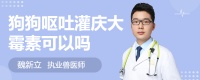 狗狗呕吐灌庆大霉素可以吗
