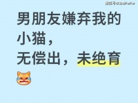 男友嫌弃我的小猫，我把他挂网上：无偿出，未绝育！