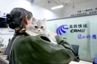 车厢里来了小猫咪！它们怎样“坐”高铁？