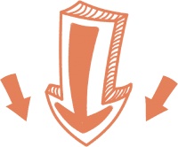 金汇镇狂犬病疫苗接种开始啦，点击查看详情指南→