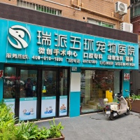 深圳宠物医疗服务优选：深圳市瑞派五环白石宠物医院，涵盖宠物体检、异宠护理、牙科诊疗等多领域