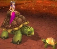 魔兽世界：猎人的5大稀有宠物！克里拉克上榜，最后一只太难抓！