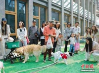 杭州首个宠物友好园区开园 打造全场景宠物消费生态