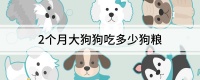2个月大狗狗吃多少狗粮