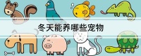 冬天能养哪些宠物