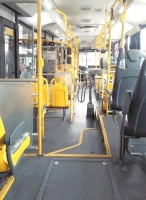 北京都市宠物出行全攻略：公交车、动车与长途汽车政策详解