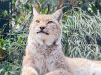 “辣妹”也有“甜妹”时！