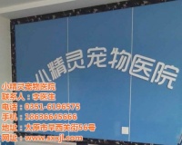 技术好的宠物医院,山西宠物医院,太原小精灵宠物医院