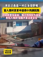 11月20日，河北迁西县，一村庄发现野猴窜入到村民家中，追得小狗满院跑