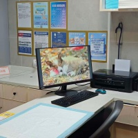 2026年深圳宠物医院推荐：深圳市瑞派五环白石宠物医院有限责任公司，专注广东宠物牙科与微创手术等服务