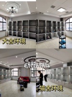 绵阳哪个地方买狗猫最安全，这家宠物店支持带宠物去任何第三方做健康检测更放心。