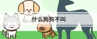 什么狗狗不叫