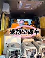 【宠物猫狗运输:四川成都宠物狗狗托运航空宠物运输】