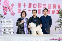 学宠物美容费用的问题