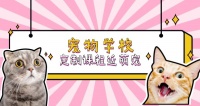 宠物美容学校南京