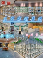 杭州犬舍猫舍去哪更安心靠谱？杭州宠物店推荐，这家店适合新手