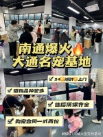 南通宠物市场地址电话，南通这家实体老店买的放心，有安全保障