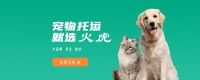 秦皇岛宠物托运公司快递运输