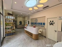 为大连的毛孩子寻一个安心之所：如何挑选靠谱的宠物医院