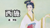 折射罗隐最强搭配