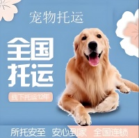 宠物猫运输专车:宠物猫托运汽车托运