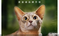 乖宝宠物加速高端化转型