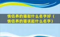 情侣养的猫取什  么名字好（情侣养的猫该起什么名  字）