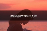成都狗狗去世怎么处理