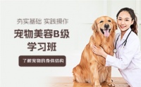 上海鑫艺宠物美容培训中心课程表