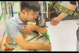 狗狗每天都被病痛折磨,主人决定给它安乐死,离别前抱着它痛哭图片