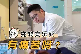 宠物安乐死是什么程序？真的没有痛苦吗？视频封面