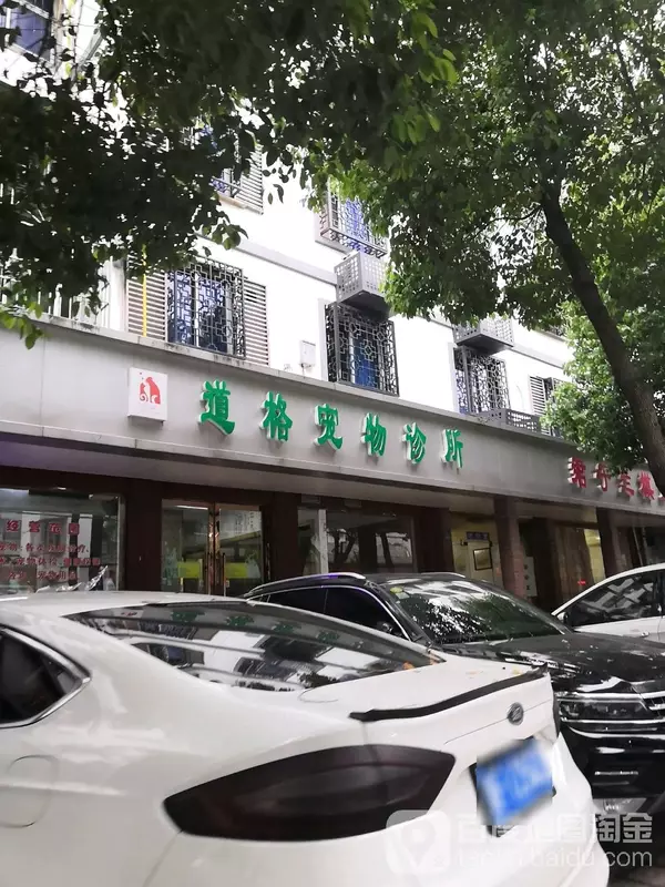 道格宠物医院(罗星路店) 嘉兴道格宠物医院(罗星路店)地址 道格宠物医院(罗星路店)电话