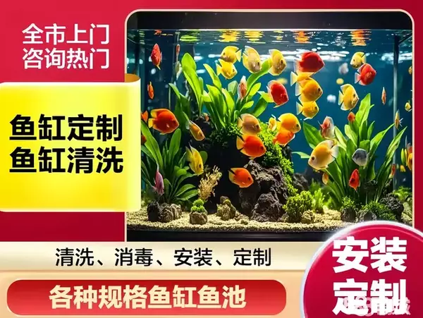 店主头像