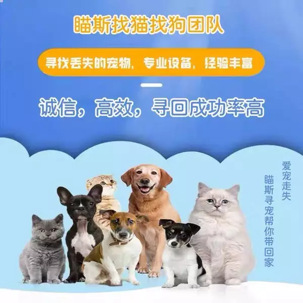 店主头像