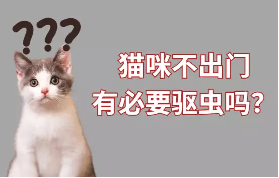 宠物猫有必要驱虫吗？怎么做？用啥药？