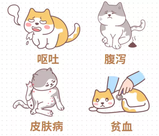 宠物猫需要驱虫吗?