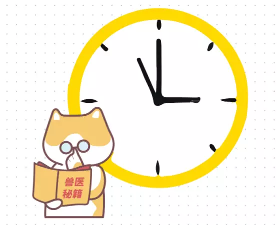 宠物猫驱虫多久一次?