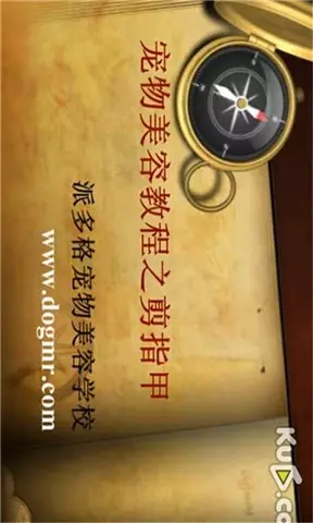 宠物美容视频教程APP下载安装