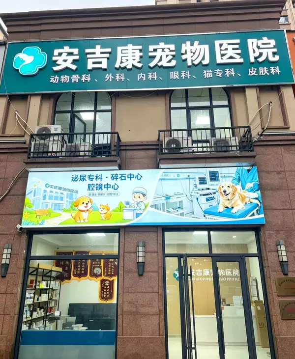 天津东丽宠物就医参考｜实地走进安吉康宠物医院，拆解宠物微创、急诊、体检的真实就医逻辑