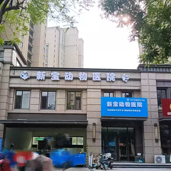 2026年即墨宠物医院参考:猫狗牙齿护理怎么做