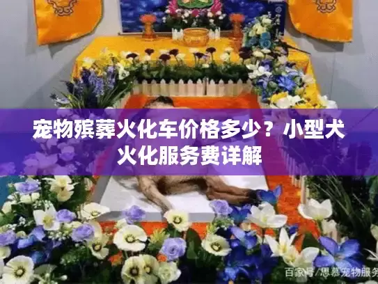 宠物殡葬火化车价格多少？小型犬火化服务费详解