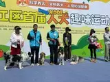 长沙经济开发区狗狗纠正坏习惯 家用商用全能训犬师培训院校