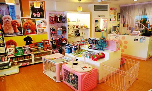 加盟一个宠物店要多少钱？