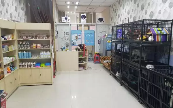宠物店加盟费用标准