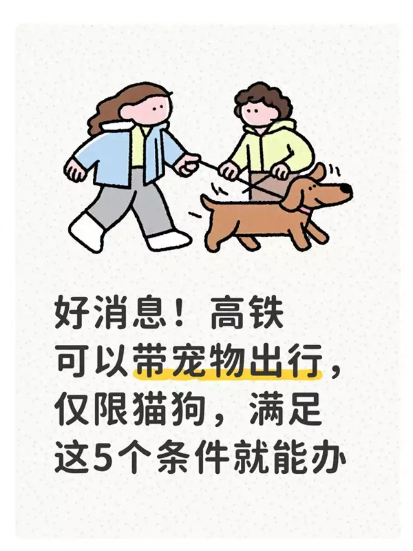 好消息！高铁可以带宠物出行，仅限猫狗，满足这5个条件就能办