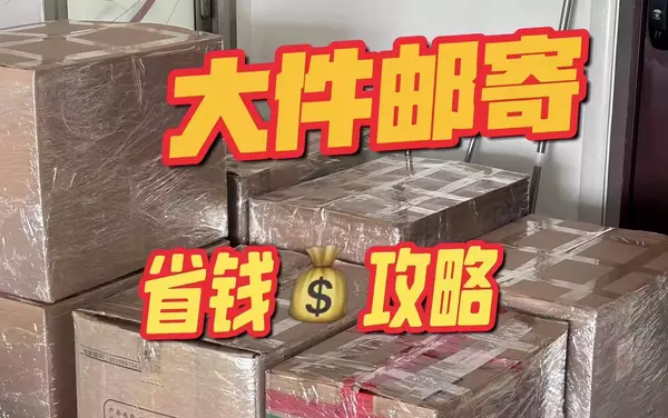 邮寄宠物猫用什么快递